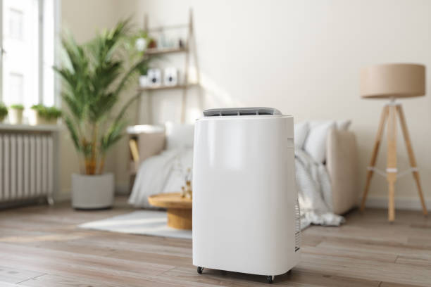 Best HVAC air duct cleaning  in Cary, IL